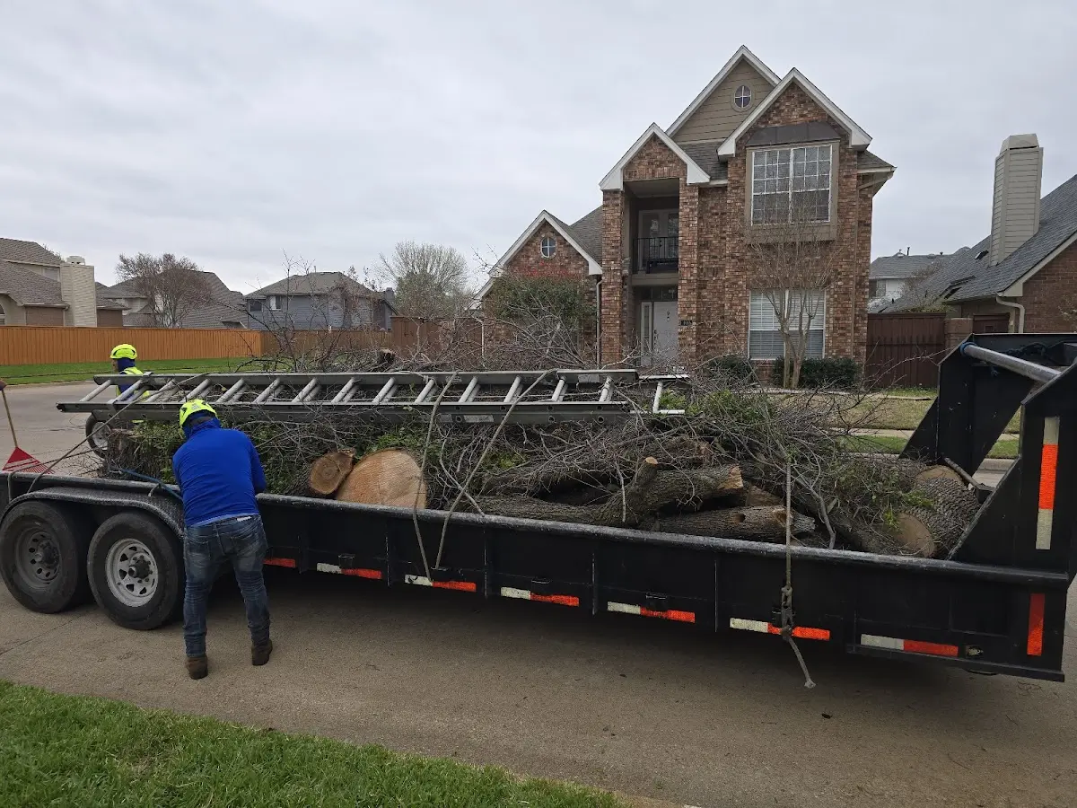 Expert Tree Pest Control with proper safety equipment in Brownstown